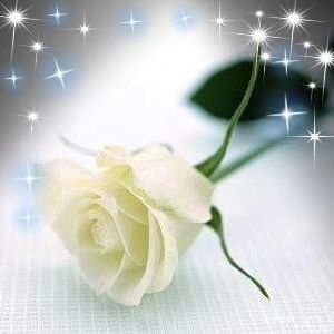 Meet your Posher, Delia